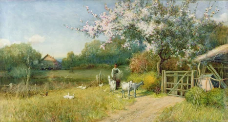 Lente